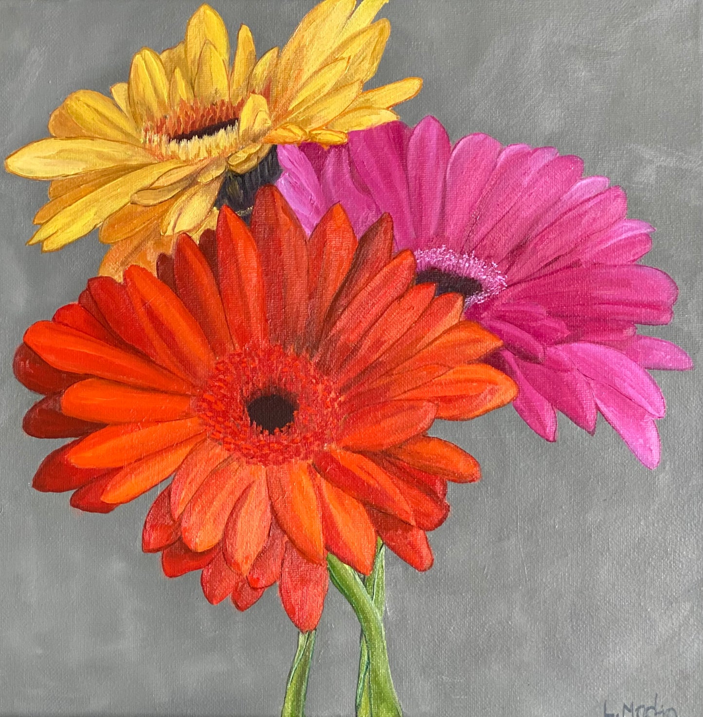 "Gerbera" Greeting card Eclectopia Gifts and Specialty Homewares