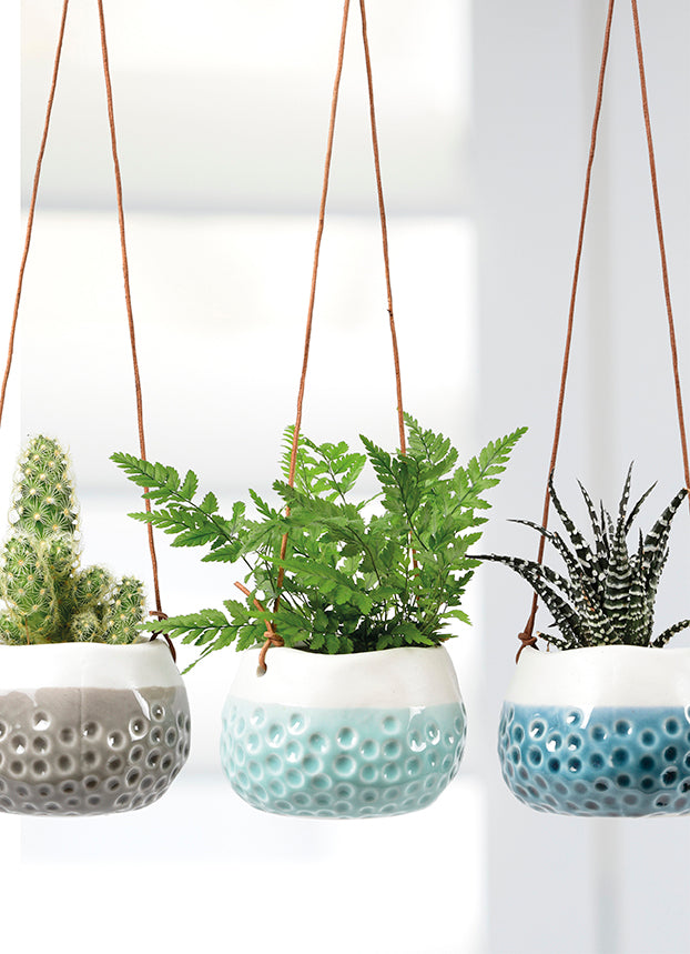 Hanging Pots - Baby Dotty Trio boxed Eclectopia Gifts and Specialty Homewares