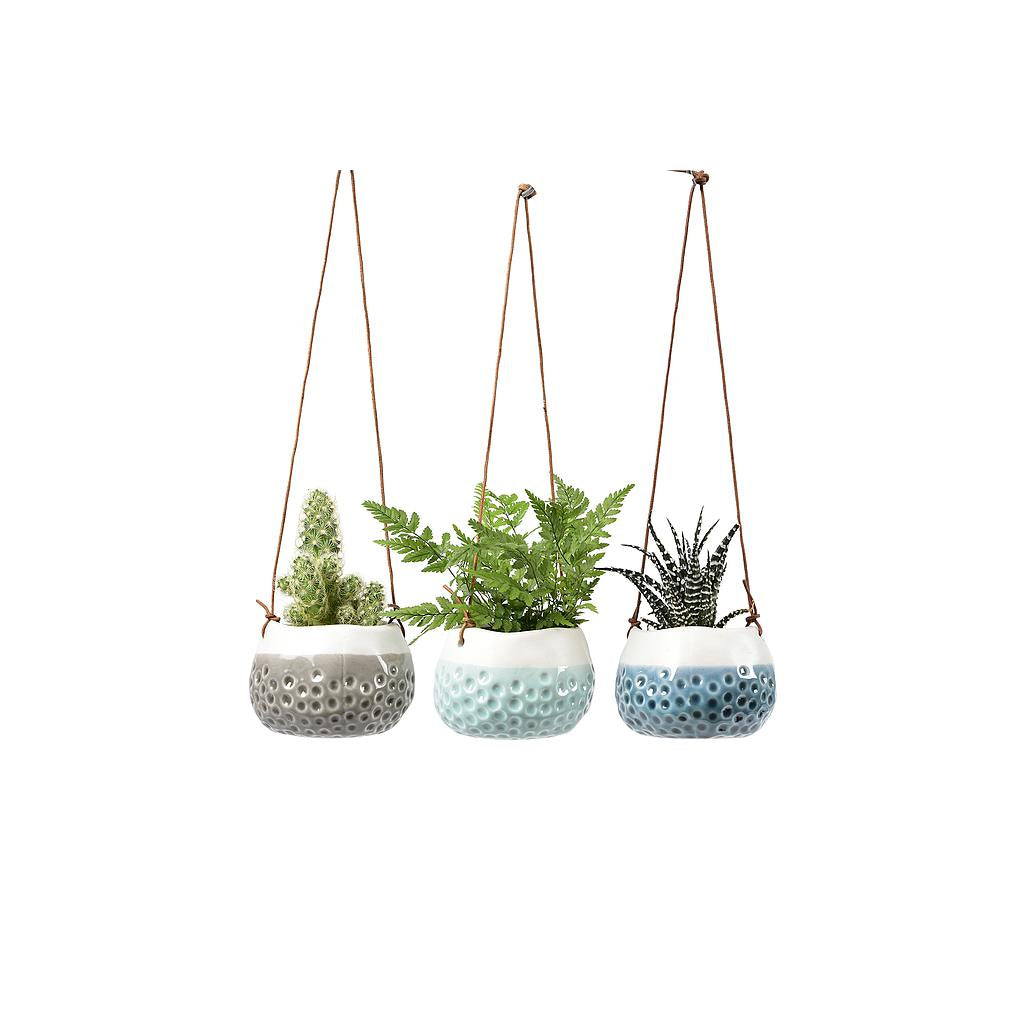 Hanging Pots - Baby Dotty Trio boxed Eclectopia Gifts and Specialty Homewares