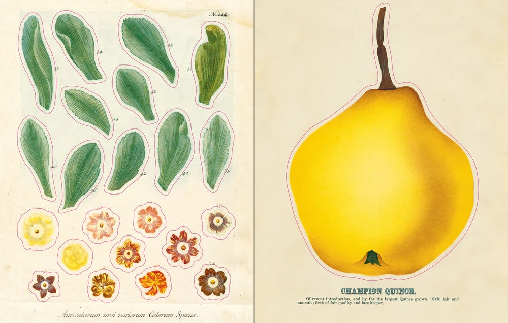 John Derian Sticker Book Eclectopia Gifts and Specialty Homewares