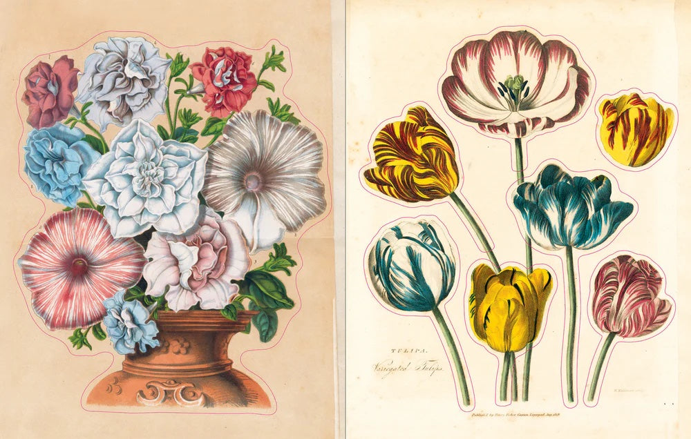 John Derian Sticker Book Eclectopia Gifts and Specialty Homewares