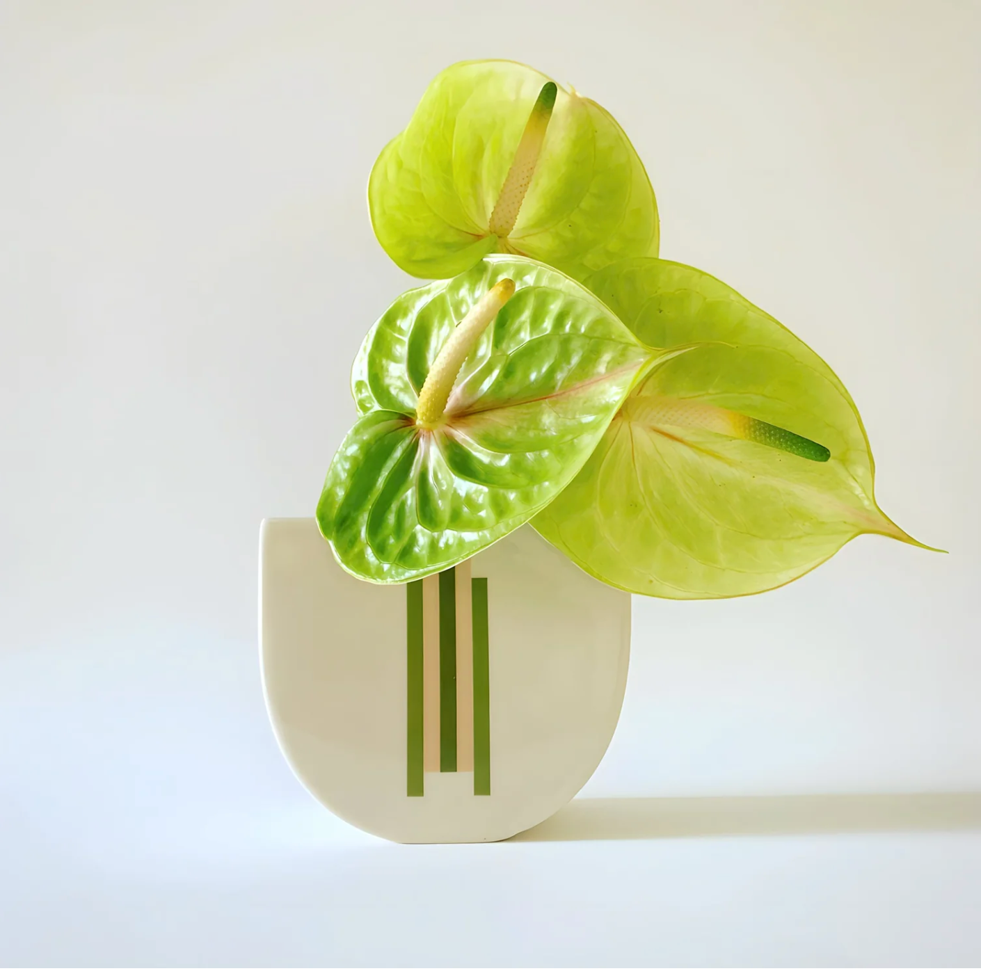Erin Lightfoot Porcelain Vase Eclectopia Gifts and Specialty Homewares