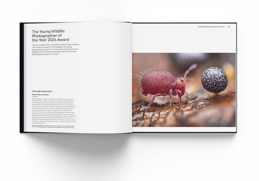 Wildlife Photographer of the Year Eclectopia Gifts and Specialty Homewares 