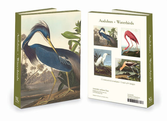 Audubon Notecards Eclectopia Gifts and Specialty Homewares 