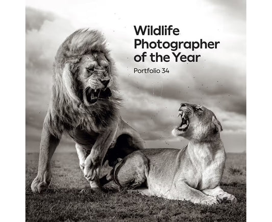 Wildlife Photographer of the Year Eclectopia Gifts and Specialty Homewares 