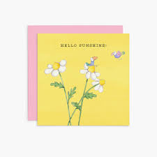 Twigseeds Eclectopia Gifts and Specialty Homewares 