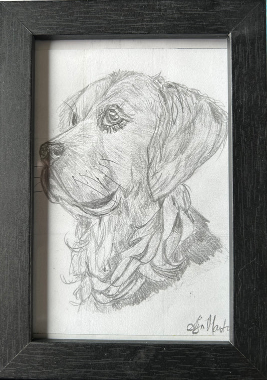 Loyalty Graphite pencil sketch Eclectopia Gifts and Specialty Homewares 