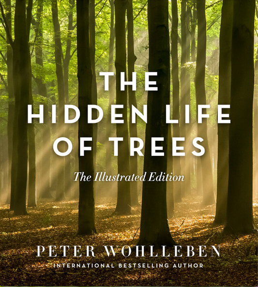 The Hidden Life of Trees Eclectopia Gifts and Specialty Homewares 