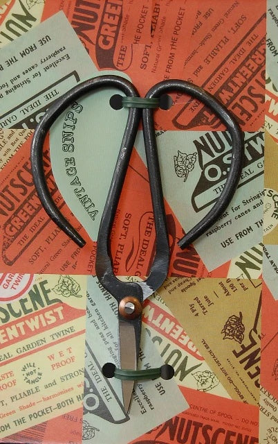 Snippet flower scissors Eclectopia Gifts and Specialty Homewares 