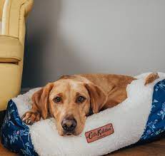Cath Kidston UK Designer Pet Bed Eclectopia Gifts and Specialty Homewares 